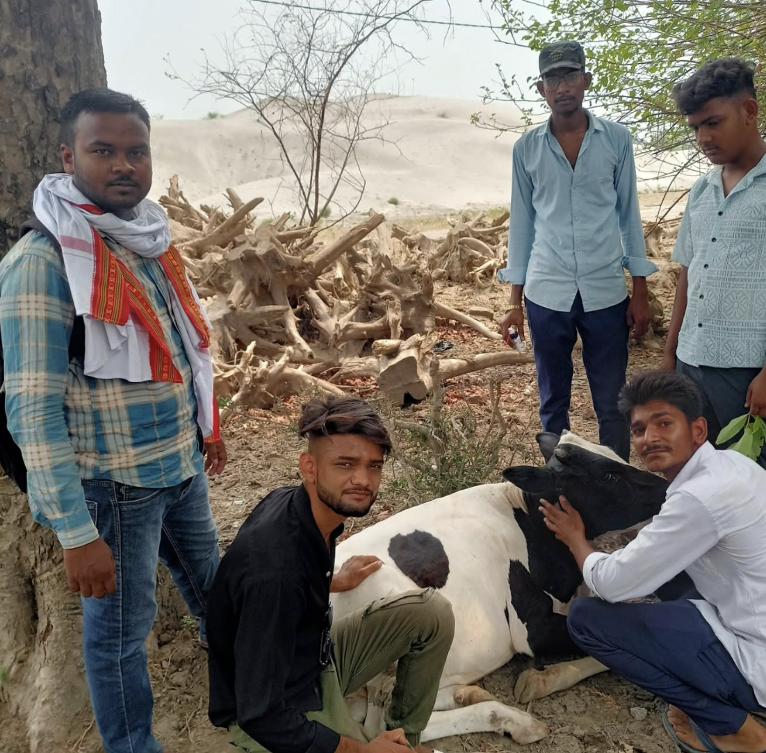 Animal Care
